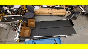 Counting & Boxing Conveyor by SmartMove® Conveyors
