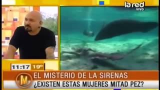 Salfate habla de los registros de sirenas que existen en el mundo