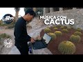 En Corto Ep 112 MÚSICA CON CACTUS