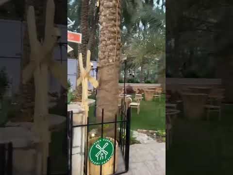 كافيه جميل في جادة النخيل في عنيزة اكسبلور  ترند زراعة 