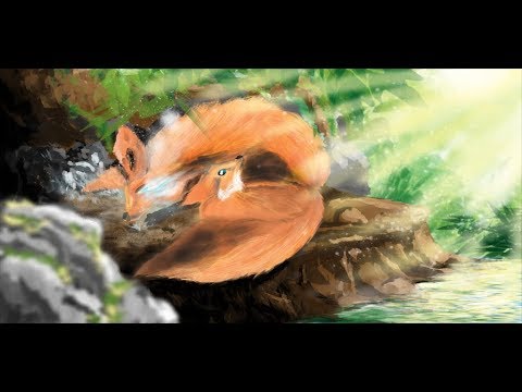 Fox the Story: Two souls