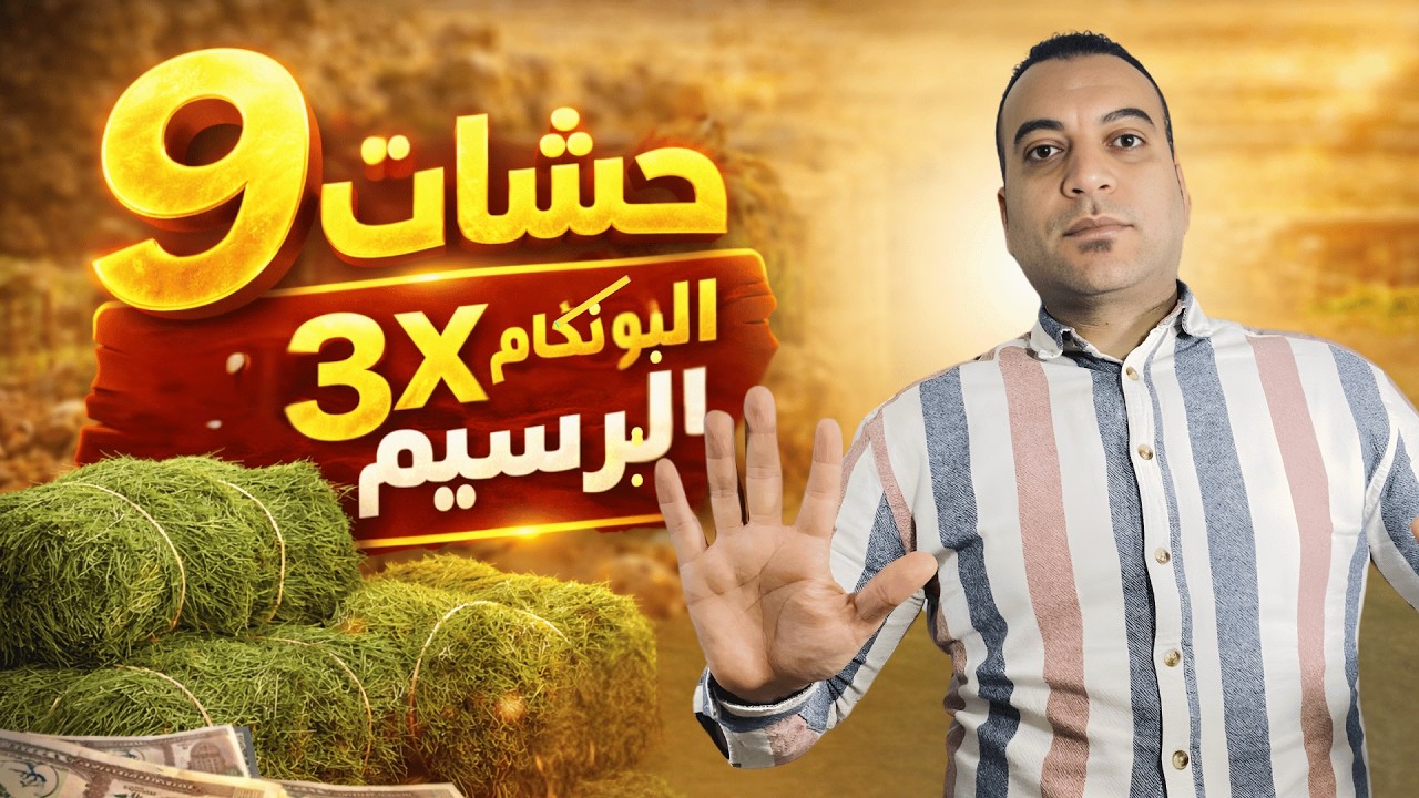 9 حشات سنوياً | هل يتفوق مشروع البونيكام 3× على مشروع البرسيم؟