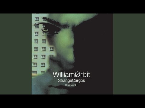 William Orbit — Time To Get Wize
