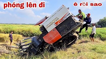 XEM CẢNH MÁY CẮT LÚA KUBOTA DC70 GIẢI CỨU MÁY KUBOTA DC93 EXTRA QUA VUÔNG TÔM CẤM ĐẦU HÚ HỒN