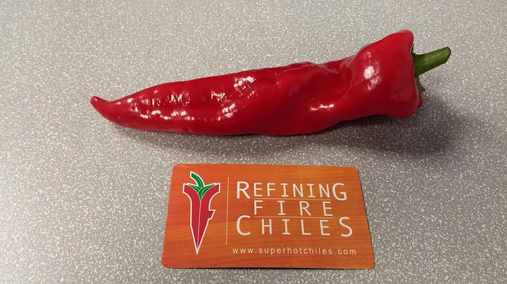 The "Senise" a Pod Review for Refining Fire Chiles