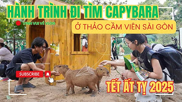 Hành trình đi tìm Bộ trưởng ngoại giao Capybara ở Thảo Cầm Viên Sài Gòn ngày Tết