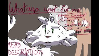 Jayfeather x Half Moon | Animatic | Whataya want from me (read description)