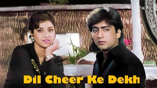 Dil Cheer Ke Dekh Tera Hi Naam Hoga | Divya Bharti | Kumar Sanu | 90's Hits Song