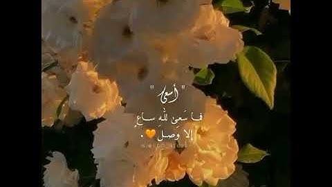 وأن ليس للإنسان إلا ماسعى القارئ:إسلام صبحي