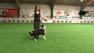 OEC 2021 Germany - Desiree and Tess canine freestyle by DessTesss 1,270 views 2 years ago 3 minutes, 27 seconds