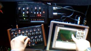 Doepfer Dark Time sequencing Korg Monotribe and Moog Animoog