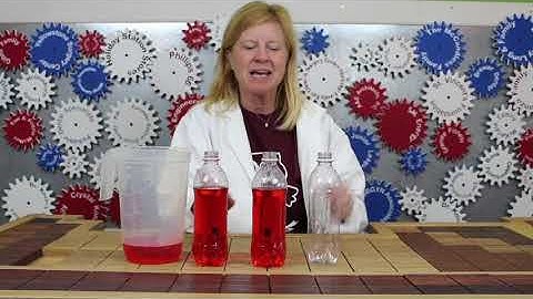 How to Build a Model Heart | Wise Wonders