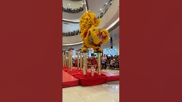Múa lân hài hước, múa lân đỉnh cao #mualan #mualan2024 #ongdia