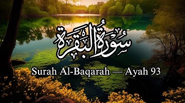وقتی خدا صحبت می کند، قلب شما باید گوش کند | سوره بقره 2:93 #آیات قرآن