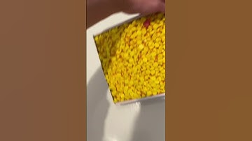 1,956 ducks! #fyp #3dprinting #duck #viralvideo