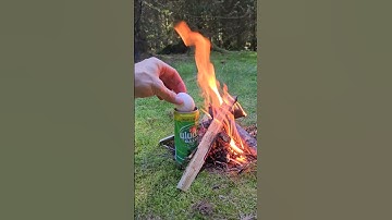Quick soda can survival hack #outdoor #camping #survival #bushcraft