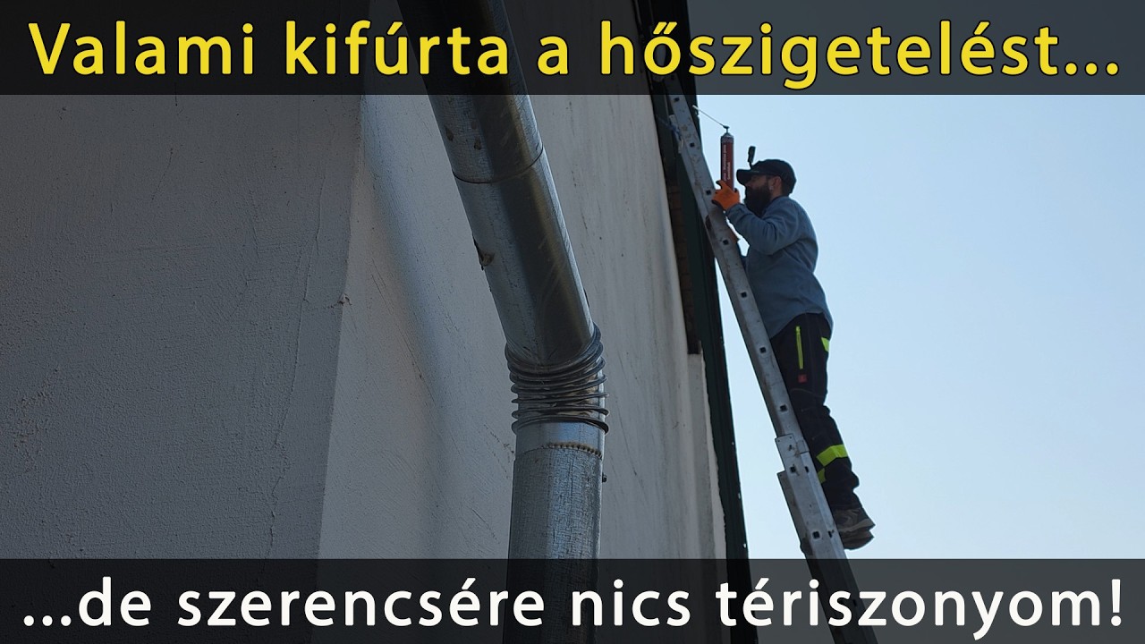 Fészkelőhely a falban? Nem maradhat!