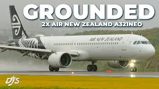 Air New Zealand Grounds Aircraft