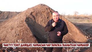 картинка: ЧЫКТУУ ТОЮТ ДАЯРДАП, ЧАРБАСЫН ЧАР ТАРАПКА ТААНЫТКАН ЧАРБАКЕР