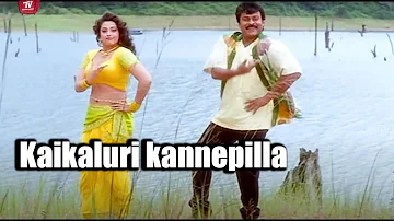 Kaikaluri kannepilla Chiranjeevi And Meena Full Movie Song || @TeluguVideoZ