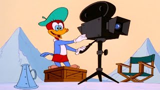 Winnie Becomes A Movie Star | Woody Woodpecker