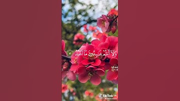 تلاوة خاشعة سورة الكافرون بصوت ياسر الدوسري