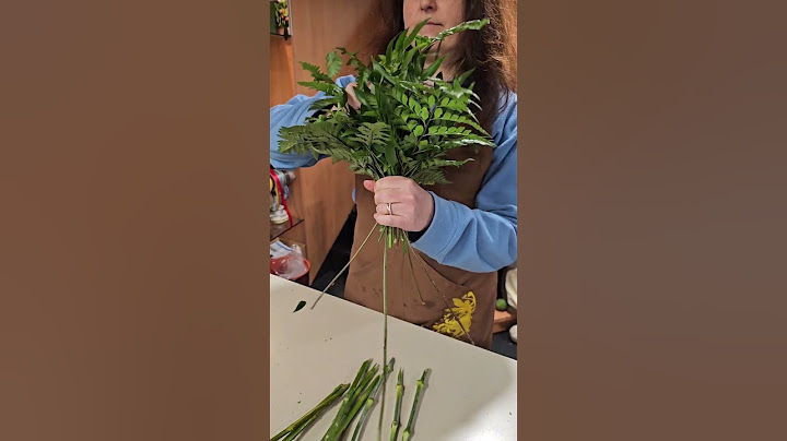 Come Creare un Bouquet Perfetto 🌸 | Guida Facile per Principianti 💐