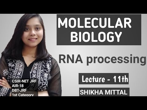 Video RNA Processing - MOLECULAR BIOLOGY CSIR-NET JRF... - youtube