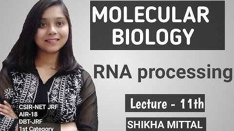 RNA Processing - MOLECULAR BIOLOGY CSIR-NET JRF LIFESCIENCE