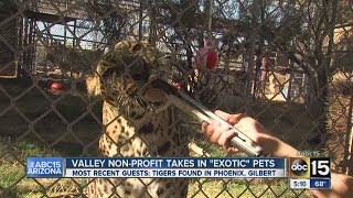 Valley non-profit takes in exotic pets