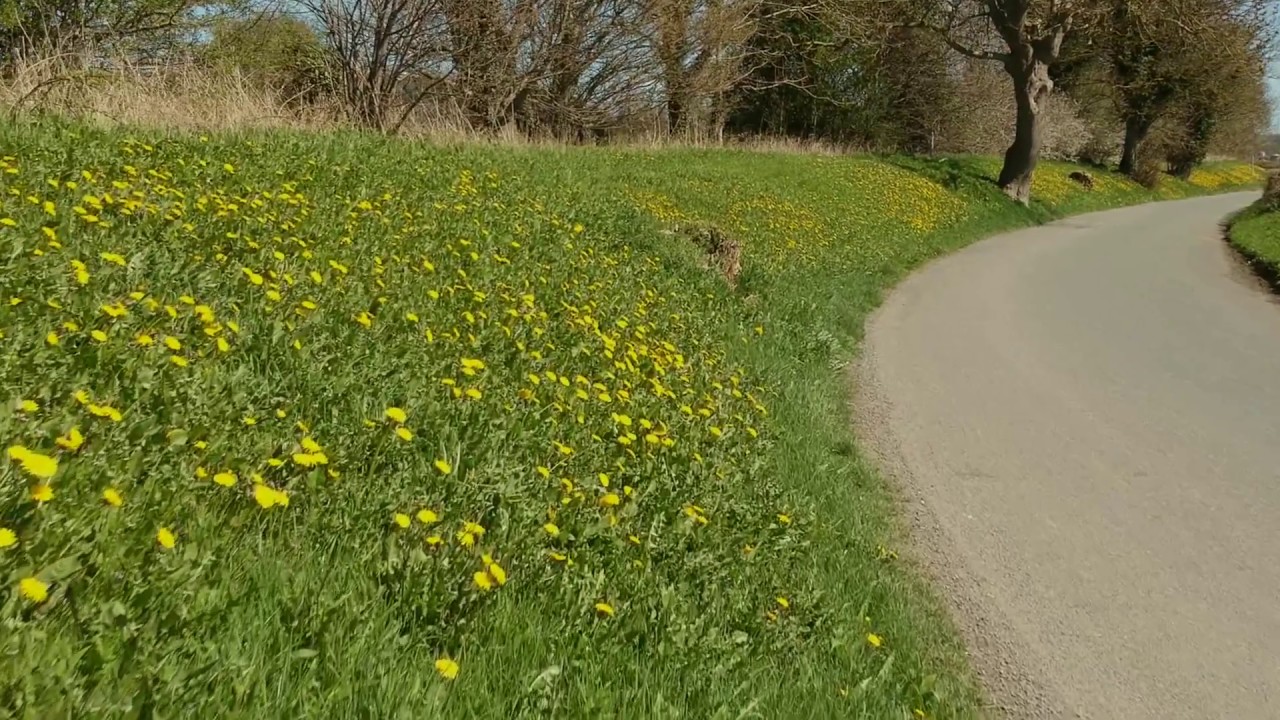 Gabriel's Oboe Performed By Henrik C Goldschmidt YouTube