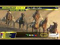 June 20, 2026 - Graduate Series 4YO Open Trot 3rd Leg - Race 3