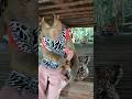 Best Video Of SokYaa OG To To And Mom Are Famous Amazing Shorts Best Video Of SokYaa OG To To And Mom Are Famous Amazing Shorts