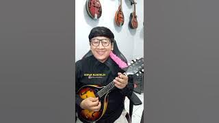 PENASARAN -  RHOMA IRAMA - MANDOLIN INSTRUMENT