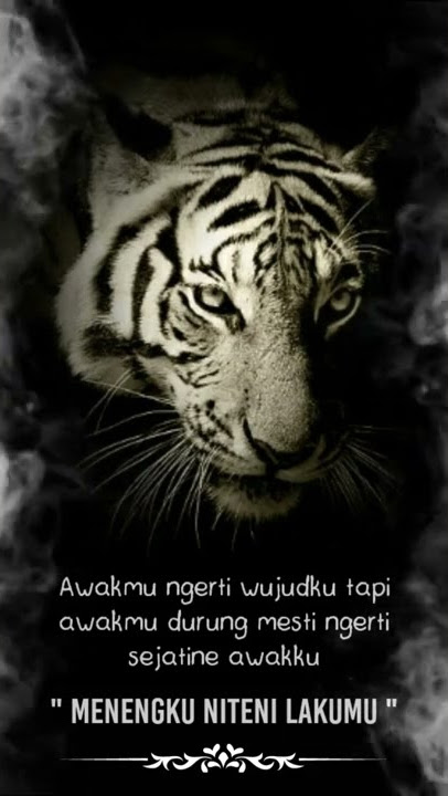 STORY WA MISTIS SEREM#mistis
