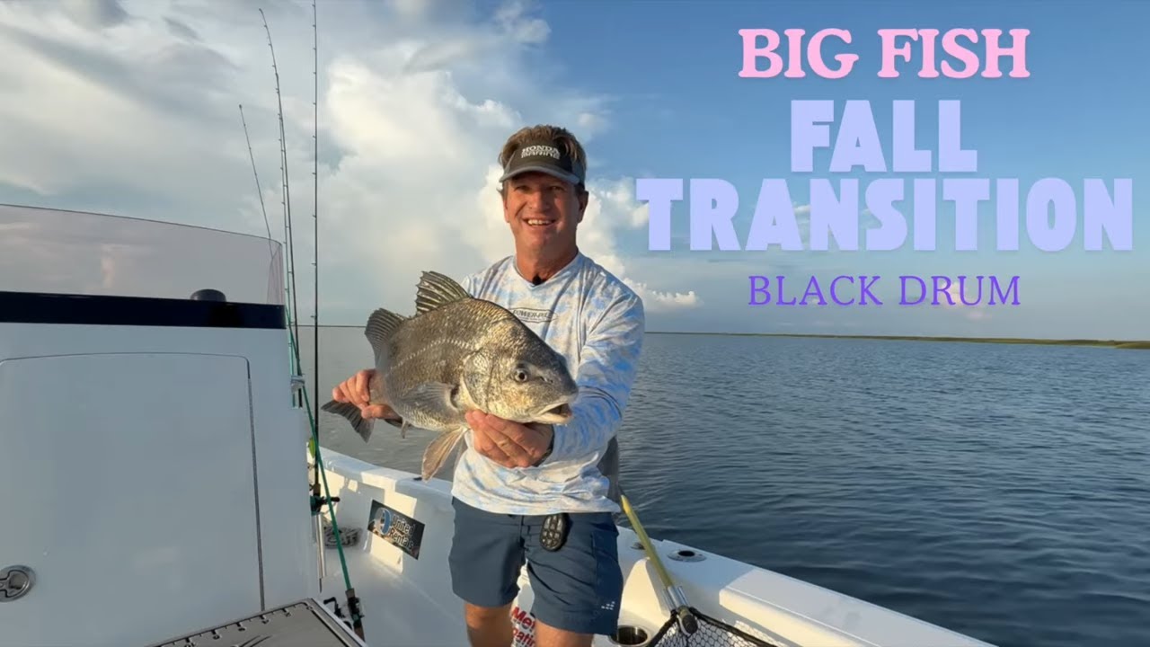 Big Fish, Fall Transition, Black Drum!