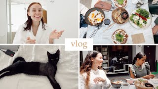 NUESTRA GATITA ESTÁ DE VUELTA + DESAYUNO CON MIS MEJORES AMIGAS ❤️ (vlog)