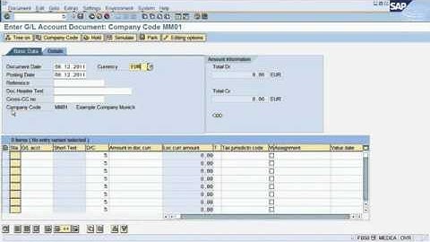 murali krishna nookella explaining How to post a document in SAP Financial Accounting