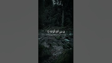 النصر والهداية | سورة النصر (Al-Nasr)