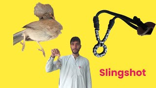 How to make Slingshot Making | DIY | ProjectsWoodworking