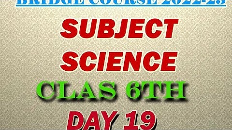 class 6/science/day 19/activity sheet 19/English medium/semi English/bridge course/2022-23/answer