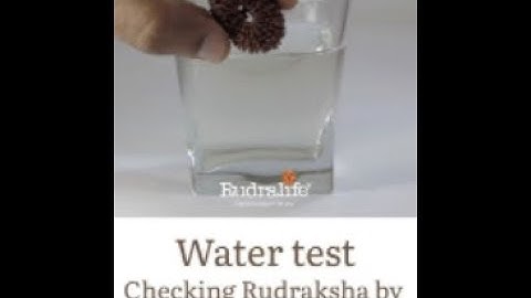 IDENTIFYING FAKE RUDRAKSHA WITH WATER TEST!! IS IT ACCURATE? | RUDRALIFE | #shorts