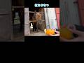 まち 3/4 #引退馬 #horse #馬 #なみあし会 #みかん