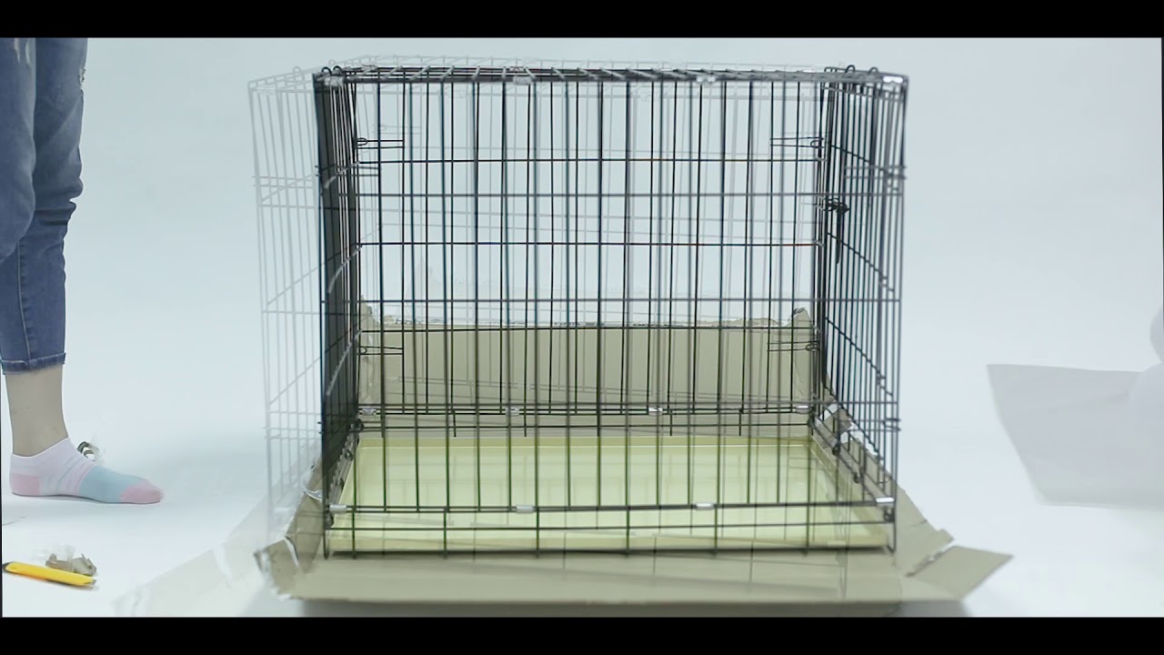 клетка растения 6 класс. клетка под номером 1. клетка лео 108. вакуоль ядро цитоплазма мембрана. клетка для собак 76х113.