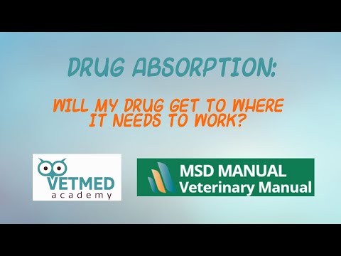 Drug Absorption: Will My Drug Get to Where it Needs to Work? Drug Absorption: Will My Drug Get to Where it Needs to Work?