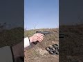 Colt 1911 .22lr by Walther. Magdump :) Recoil management.