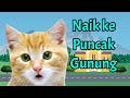 Lagu Anak anak 😸 Naik ke puncak gunung versi kucing nyanyi