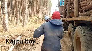 Kajitu Boy Huyu Jamaa Anangu Tazama Mzigo Huu