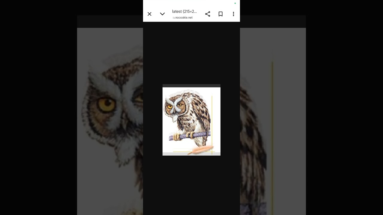 Legend Of The Guardians X Skylanders Hoot Loop Revives Ezylryb 
