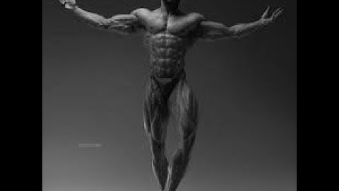 Pov: You use custom curve